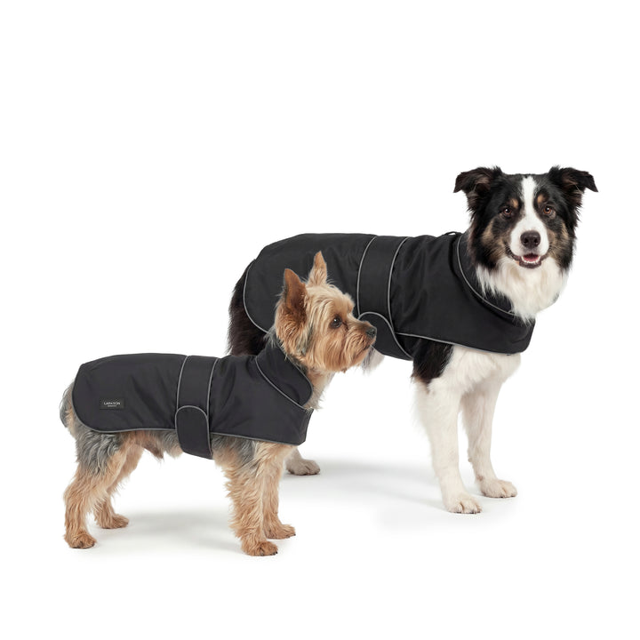 Hunderegenmantel Jonte