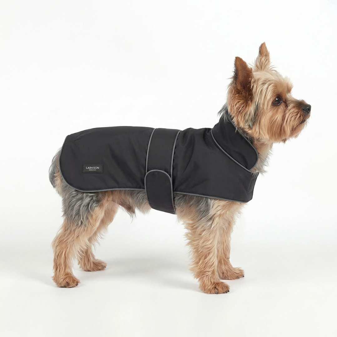 Hunderegenmantel Jonte