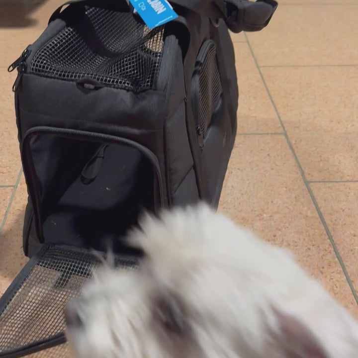 Hundetransportbox Tjark